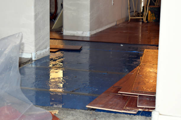 Professional Water Extraction technician working in Matagorda, TX